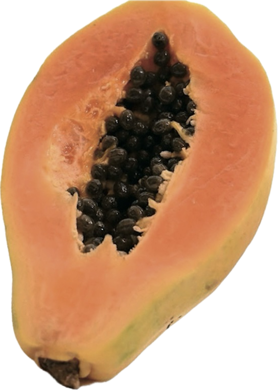 Papaya